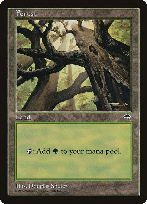 347-forest