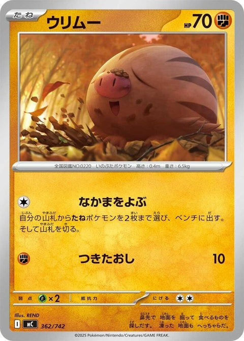 363-piloswine