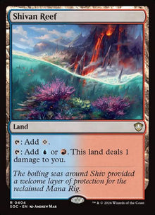 404-shivanreef