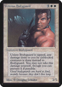 41-veteranbodyguard