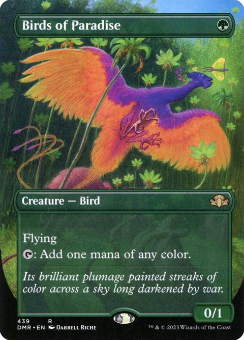 439-birdsofparadise