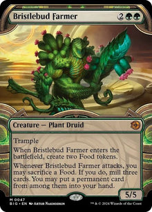 47-bristlebudfarmer
