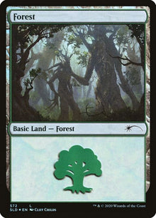 572-forest