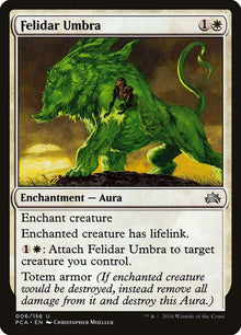 6-felidarumbra