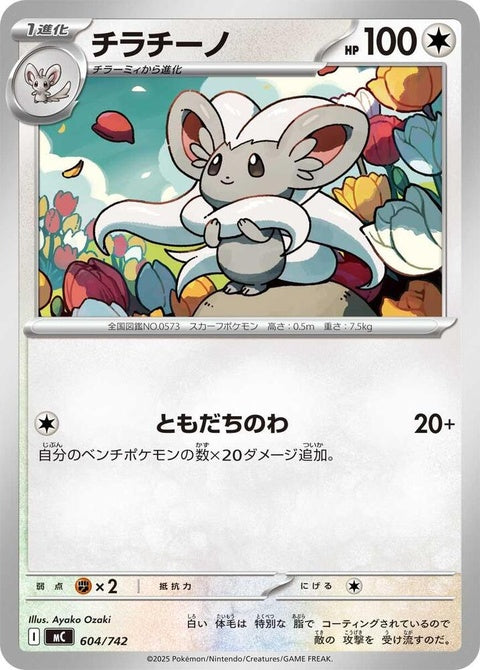 604-cinccino
