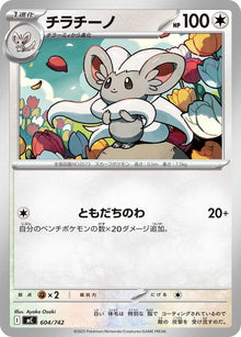 604-cinccino