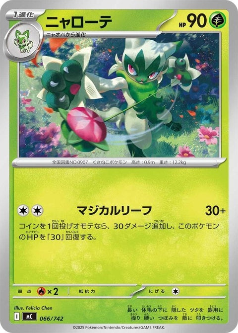 66-floragato