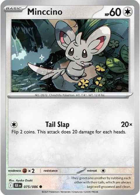 75-minccino-masterballpattern