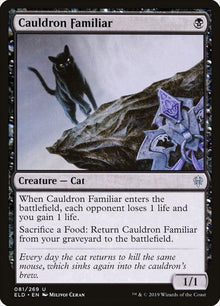81-cauldronfamiliar