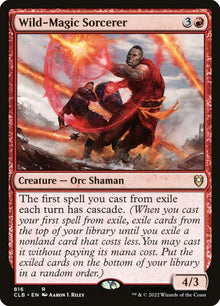 816-wildmagicsorcerer