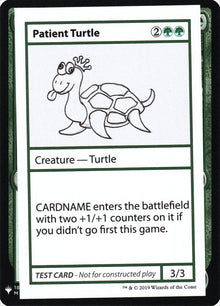 82-patientturtle