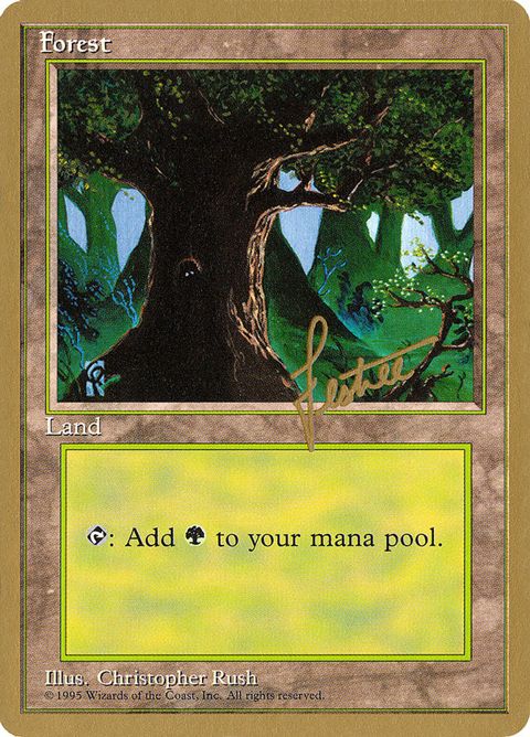bl377-forest