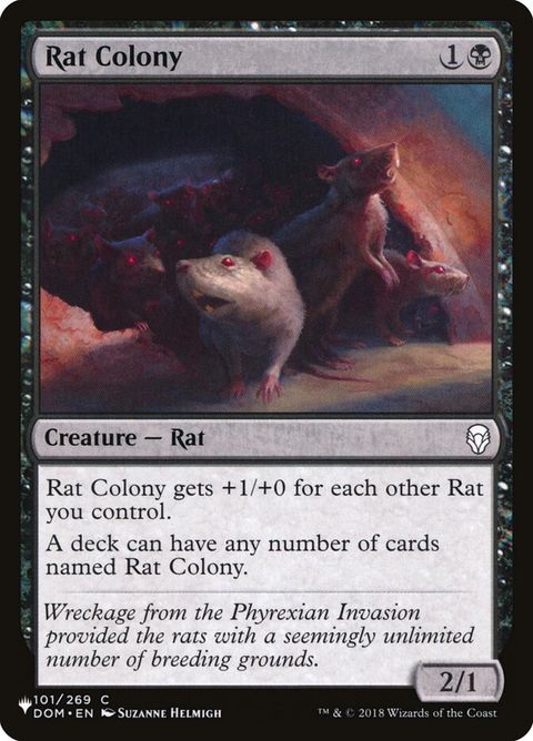 DOM-101-ratcolony