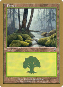 jt328-forest
