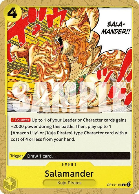 op14-116-salamander