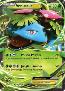 xy28-venusaurex